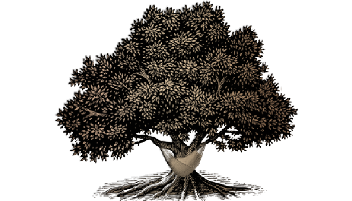 Ghost Innovations Events